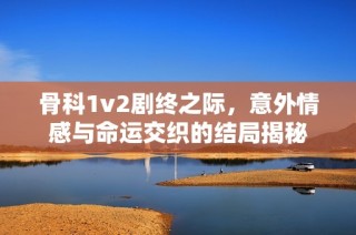 骨科1v2剧终之际，意外情感与命运交织的结局揭秘