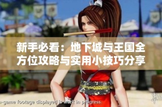 新手必看：地下城与王国全方位攻略与实用小技巧分享