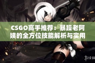 CSGO高手推荐：暴躁老阿姨的全方位技能解析与实用技巧分享