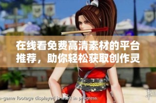 在线看免费高清素材的平台推荐，助你轻松获取创作灵感与资源
