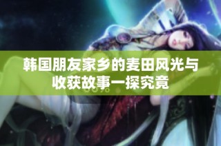 韩国朋友家乡的麦田风光与收获故事一探究竟