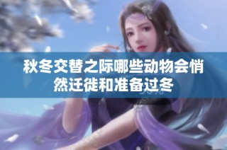 秋冬交替之际哪些动物会悄然迁徙和准备过冬