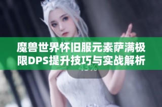 魔兽世界怀旧服元素萨满极限DPS提升技巧与实战解析