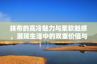 抹布的高冷魅力与柔软触感，展现生活中的双重价值与魅力