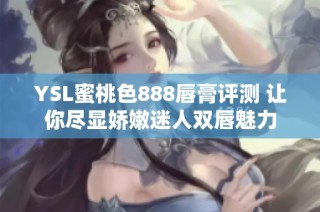 YSL蜜桃色888唇膏评测 让你尽显娇嫩迷人双唇魅力