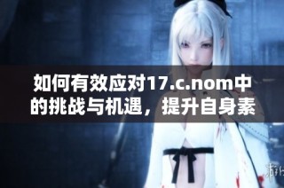 如何有效应对17.c.nom中的挑战与机遇，提升自身素养与能力分析