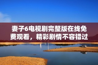 妻子6电视剧完整版在线免费观看，精彩剧情不容错过！