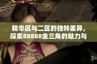 精华区与二区的独特差异，探索88888金三角的魅力与价值