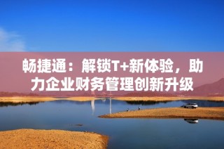 畅捷通：解锁T+新体验，助力企业财务管理创新升级