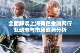 全面解读上海有色金属网行业动态与市场趋势分析