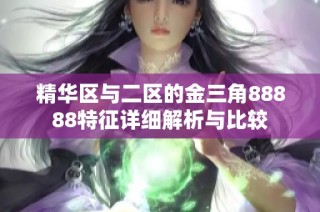精华区与二区的金三角88888特征详细解析与比较