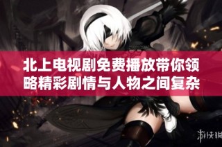 北上电视剧免费播放带你领略精彩剧情与人物之间复杂的情感纠葛