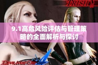 9.1高危风险评估与管理策略的全面解析与探讨