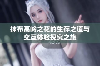 抹布高岭之花的生存之道与交互体验探究之旅
