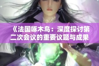 《法国啄木鸟：深度探讨第二次会议的重要议题与成果》