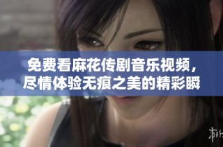 免费看麻花传剧音乐视频，尽情体验无痕之美的精彩瞬间