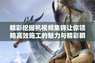 精彩挖掘机视频集锦让你领略高效施工的魅力与精彩瞬间