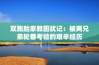 双胞胎家教困扰记：被两兄弟轮番考验的艰辛经历