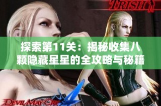 探索第11关：揭秘收集八颗隐藏星星的全攻略与秘籍