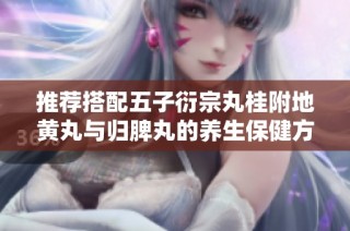 推荐搭配五子衍宗丸桂附地黄丸与归脾丸的养生保健方案