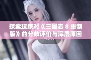 探索玩家对《三国志 8 重制版》的分歧评价与深层原因
