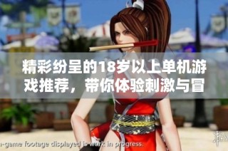 精彩纷呈的18岁以上单机游戏推荐，带你体验刺激与冒险的乐趣