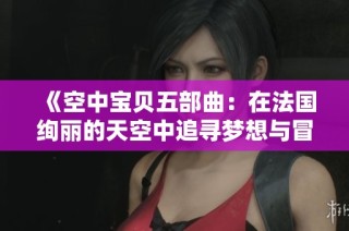 《空中宝贝五部曲：在法国绚丽的天空中追寻梦想与冒险》