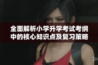 全面解析小学升学考试考纲中的核心知识点及复习策略