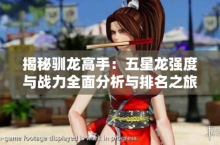 揭秘驯龙高手：五星龙强度与战力全面分析与排名之旅