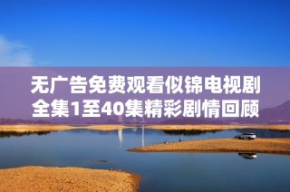 无广告免费观看似锦电视剧全集1至40集精彩剧情回顾与分析
