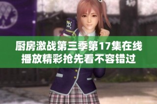 厨房激战第三季第17集在线播放精彩抢先看不容错过