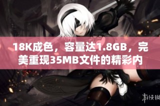 18K成色，容量达1.8GB，完美重现35MB文件的精彩内容