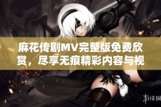 麻花传剧MV完整版免费欣赏，尽享无痕精彩内容与视觉盛宴