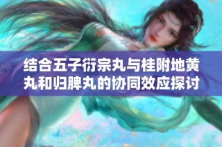 结合五子衍宗丸与桂附地黄丸和归脾丸的协同效应探讨