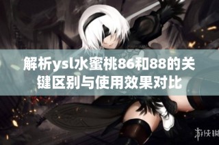 解析ysl水蜜桃86和88的关键区别与使用效果对比