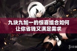 九块九加一的惊喜组合如何让你省钱又满足需求
