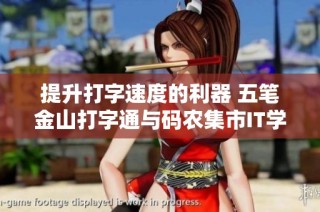提升打字速度的利器 五笔金山打字通与码农集市IT学习资源推荐