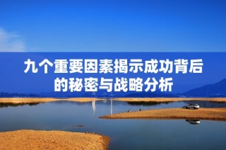 九个重要因素揭示成功背后的秘密与战略分析