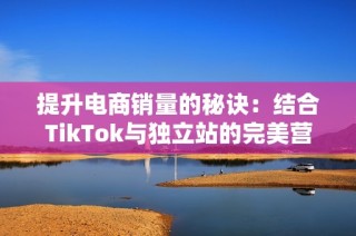 提升电商销量的秘诀：结合TikTok与独立站的完美营销策略