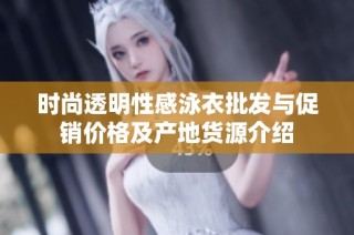 时尚透明性感泳衣批发与促销价格及产地货源介绍