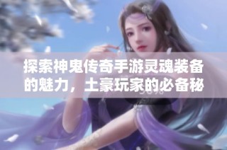 探索神鬼传奇手游灵魂装备的魅力，土豪玩家的必备秘籍揭秘