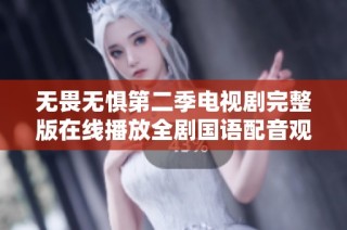 无畏无惧第二季电视剧完整版在线播放全剧国语配音观影指南
