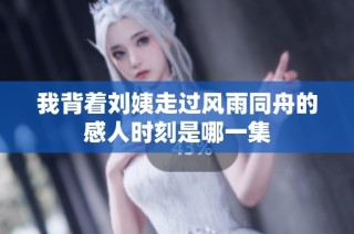 我背着刘姨走过风雨同舟的感人时刻是哪一集