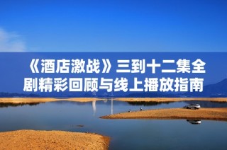 《酒店激战》三到十二集全剧精彩回顾与线上播放指南