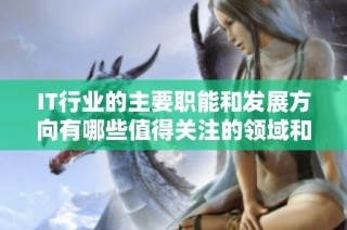IT行业的主要职能和发展方向有哪些值得关注的领域和机会