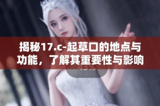 揭秘17.c-起草口的地点与功能，了解其重要性与影响力