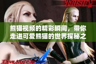 熊猫视频的精彩瞬间，带你走进可爱熊猫的世界探秘之旅