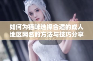 如何为猫咪选择合适的成人地区网名的方法与技巧分享