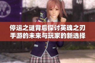 停运之谜背后探讨英魂之刃手游的未来与玩家的新选择