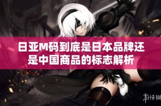日亚M码到底是日本品牌还是中国商品的标志解析